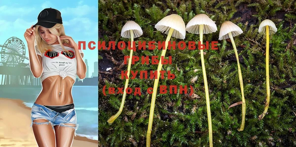 apvp Арсеньев