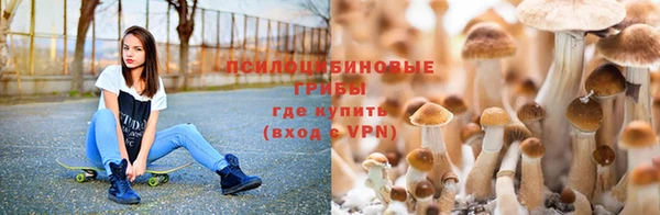 дурь Армянск