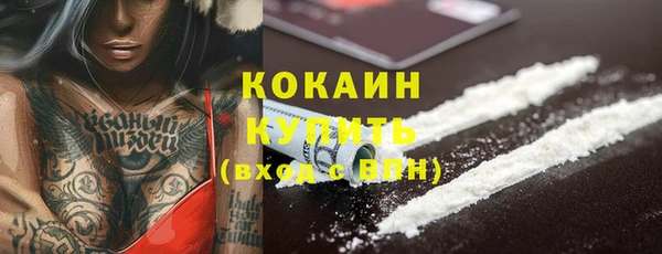 apvp Арсеньев