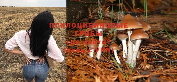 а пвп мука Аркадак