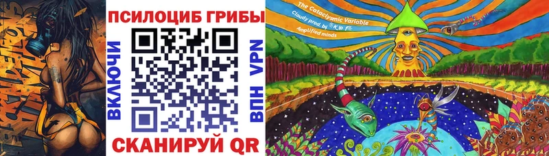 где можно купить Лосино-Петровский Галлюциногенные грибы мицелий